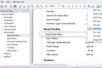 DevExpress Silverlight Controls预览：